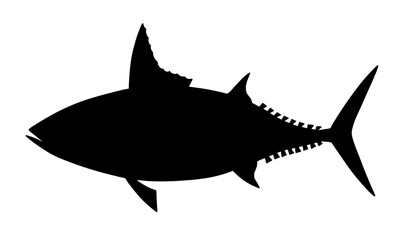 Mackerel tuna. Black realistic silhouette vector image.