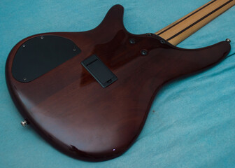 Ibanez Back Side View