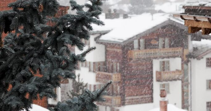 Snow falling on houses and connifers in the heart of the swiss village of Zermatt in the canton of Valais, Switzerland.