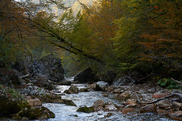 Mountain river. Autumn in the mountains.