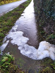 Pollution d'un ruisseau