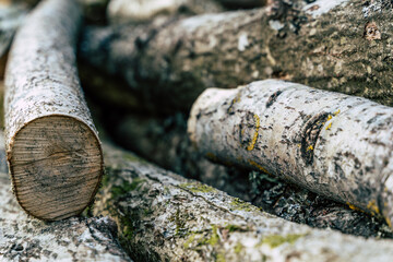 Pile of Amber Logs, Close up Abstract Background