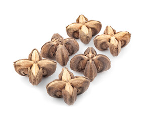 star bean isolated on a  white background