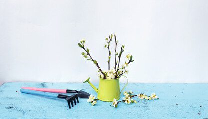 Garden tools in a vase with spring flowers on a light background.