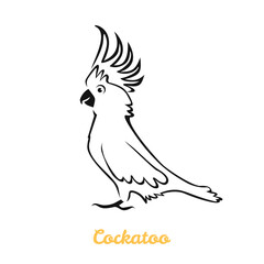 Cockatoo parrot vector cartoon illustration. Black and white silhouette, outline. Australian bird icon.