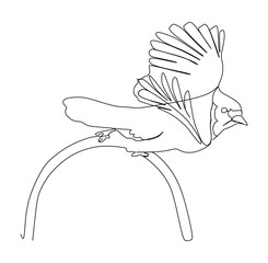 bar-throated mina bird. Continuous one line drawing