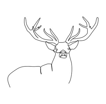 Beautiful deer with antler. Continuous one line drawing