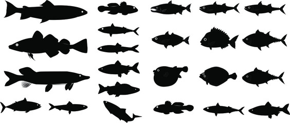 vector illustration of fish.collection of fish icon