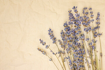 Bouquet of dried lavender on canvas. Flat lay.
