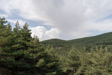 mountainous landscape in Sierra Nevada
