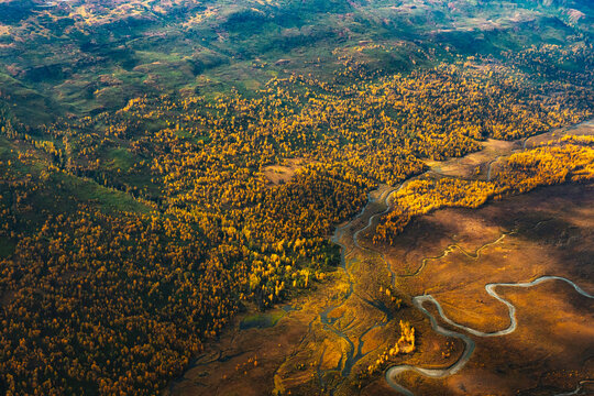 Aerial View Of Rivers And Yellow Birch Trees In Alaska