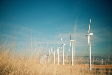 Windmills for electric power production in Spain.