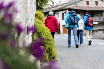 a group of patient walks with a physiotherapist