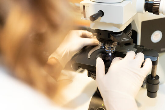 analysis of a sample using a microscope