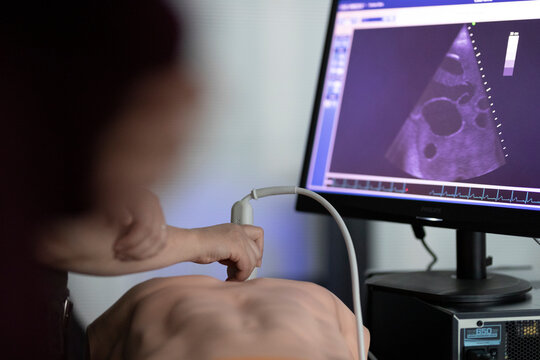 a doctor performs ultrasound on a teaching dummy