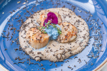 Seared scallop appetizer in dish