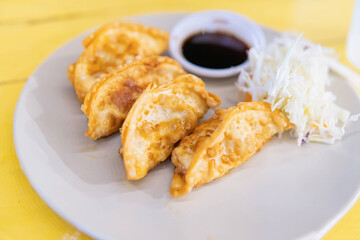 Asian Appetizer Menu Fried Dumplings