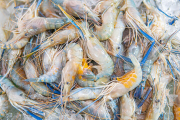 Top view of raw prawns on crushed ice