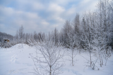 Winter watercolor landscape with snow-covered forest and soft clouds on a pale blue sky. There is a lot of clean, loose snow underfoot. Winter forest walks to maintain health 