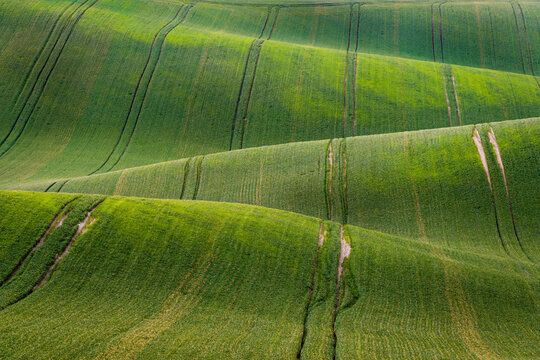 Idyllic view of rolling fields near Kyjov, Hodonin District, South Moravian Region, Moravia, Czech Republic