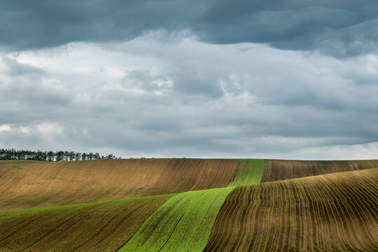 Idyllic view of rolling fields near Kyjov with dramatic cloudy sky, Hodonin District, South Moravian Region, Moravia, Czech Republic