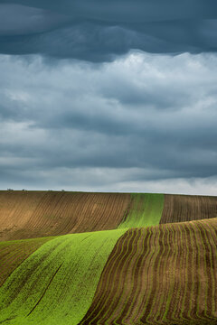 Scenic view of rolling fields near Kyjov with dramatic cloudy sky, Hodonin District, South Moravian Region, Moravia, Czech Republic