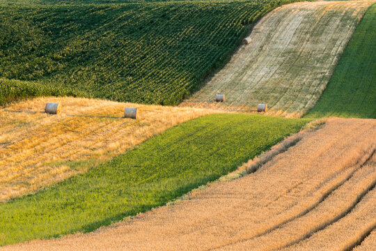 Idyllic view of straw bales on rolling fields near Kyjov, Hodonin District, South Moravian Region, Moravia, Czech Republic