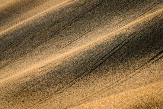 Idyllic abstract view of rolling fields near Kyjov, Hodonin District, South Moravian Region, Moravia, Czech Republic