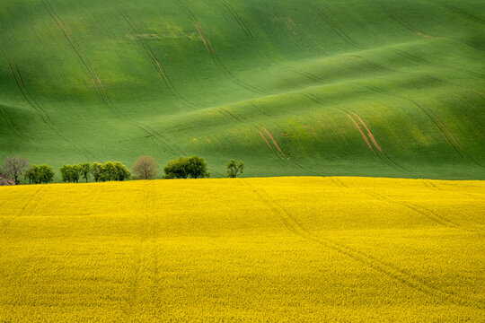 Idyllic view of rolling hills near Kyjov, Hodonin District, South Moravian Region, Moravia, Czech Republic