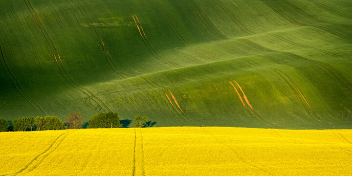 Scenic view of rolling fields near Kyjov, Hodonin District, South Moravian Region, Moravia, Czech Republic