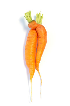 Naklejki carrots in funny shapes on white background.