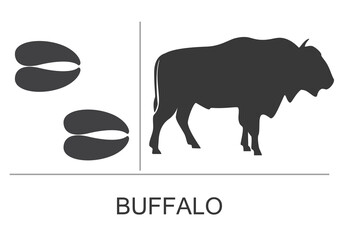 Silhouette and footprints of an American bison(Buffalo). Vector illustration on a white background. © OnD