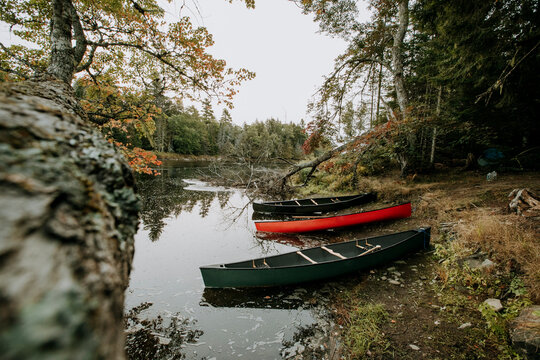 Three canoes sit on wooded bank of Saint Croix River, Maine and Canada