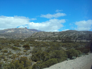 Patagonia