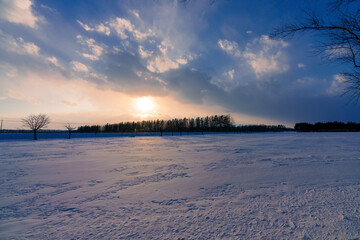 北海道夕暮れの雪原