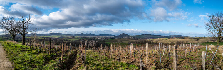 la vigne en Auvergne