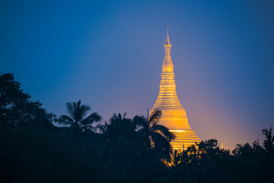 Distant view of gilded golden Shwedagon Pagoda rising above palm trees at night, Yangon, Yangon Region, Myanmar