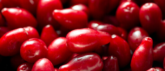 A lot of bright red dogwood fruits. 