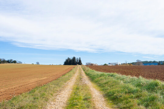 Scenic view of a plowed field wheat dirt road in spring