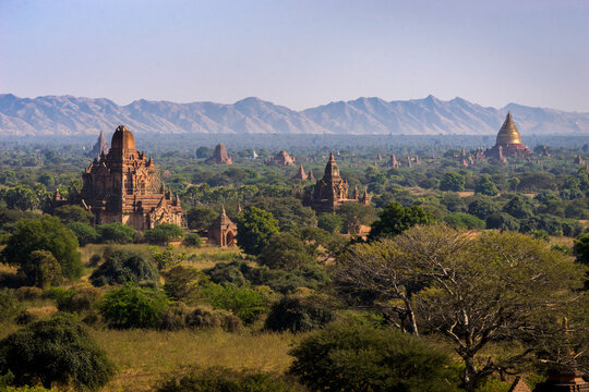 High angle view of ancient temples of Bagan, Bagan, Mandalay Dis