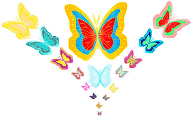 Bouquet of 17 motley, bright, colorful butterflies.  illustration.
