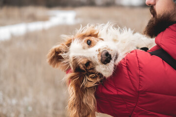 Cute dog chilling in the hands of man, winter scene