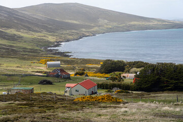 View from Carcas Island, Falkland Islands.