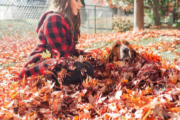 Teen girl sits in leaf pile with basset hound dog on fall day in yard