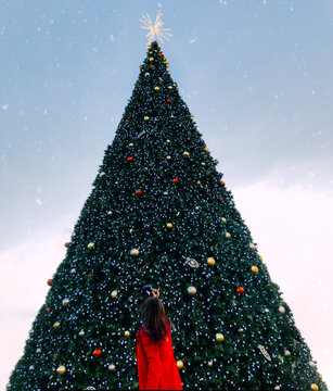 Woman photographing Christmas tree under the snow
