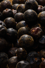 Juniper berry macro close up