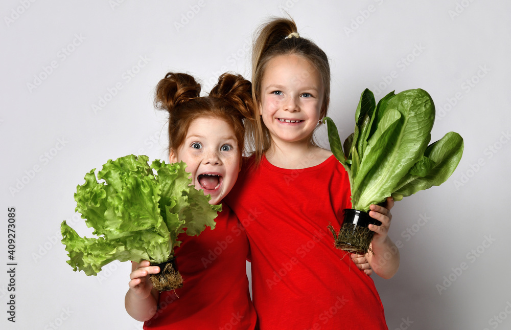 Wall mural cheerful smiling girls extend two different kinds of fresh lettuce leaves to the camera.