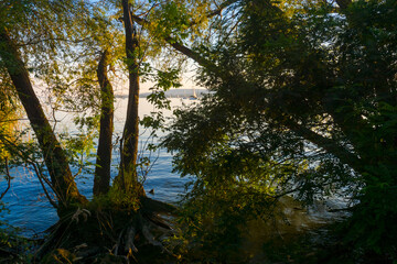 Natural beach of the lake Balaton in Hungary
