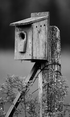 Birdhouse on a pole in black and white