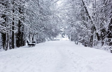 Winter park in the city with benches covered with snow
